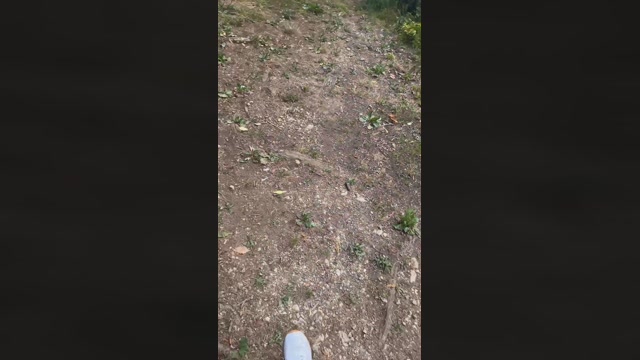 PacinoDeniro  21-07-2022